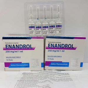 Balkan Pharma Testesterone Enanthale 250mg 10 Ampul (Yeni Seri)