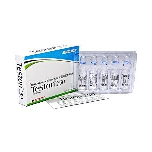 Shree Venkatesh Testosterone Enanthate 250 mg 10 Ampul